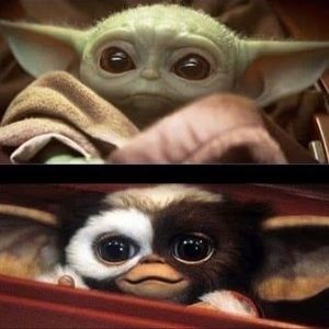 Meet your Posher, Antonio